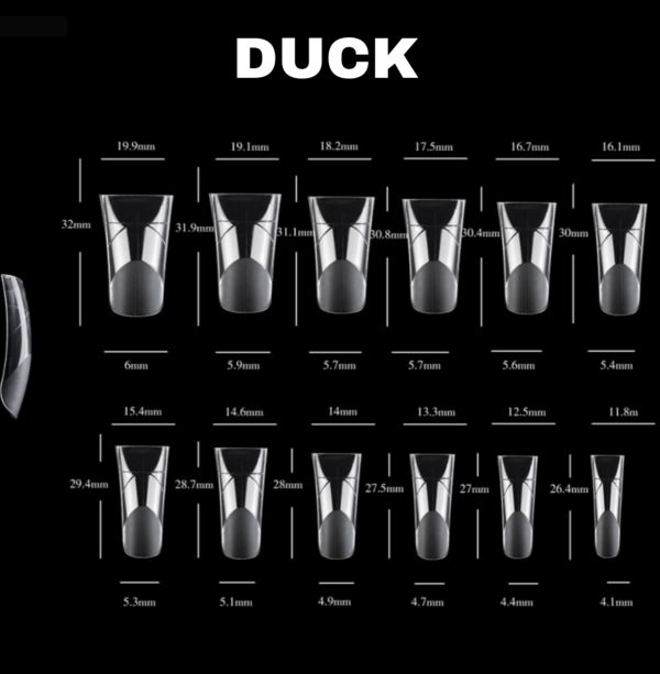 Dual Form Duck - immagine 2